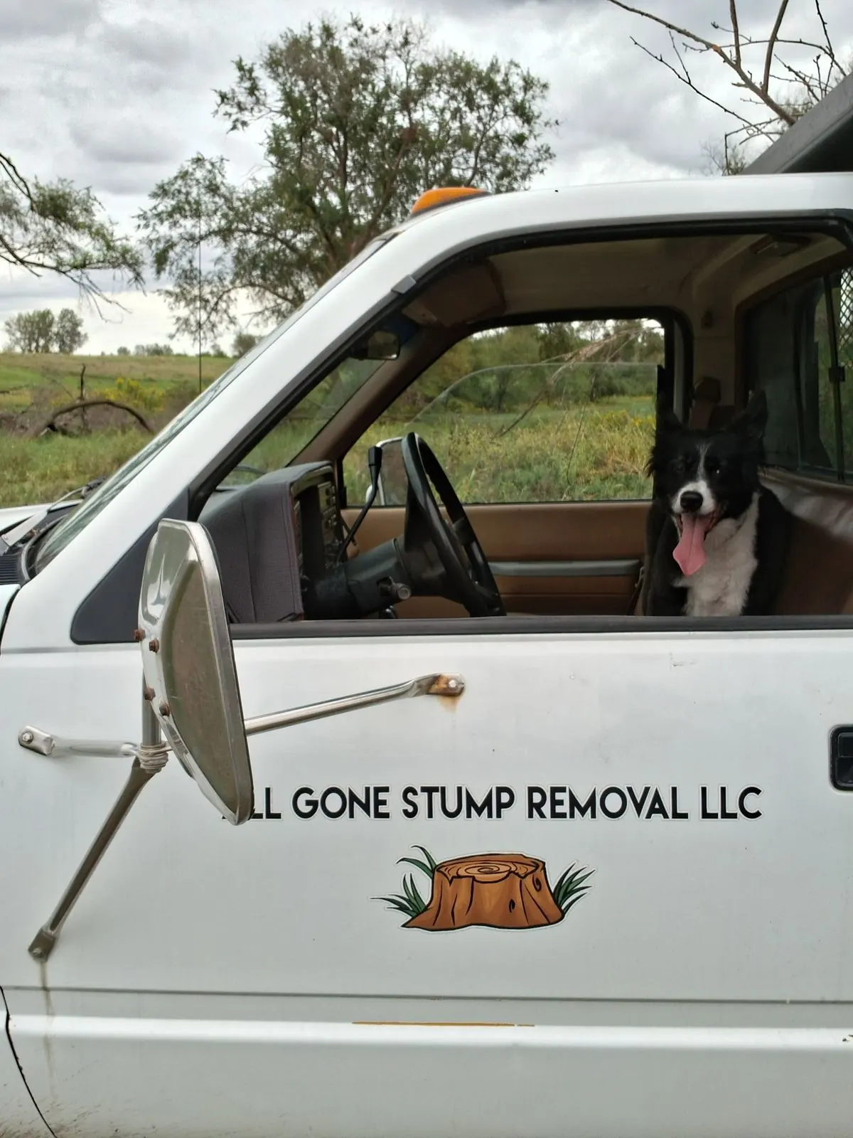 The ALL Gone Stump Removal LLC work truck with the stump logo on the door and a dog in the cab