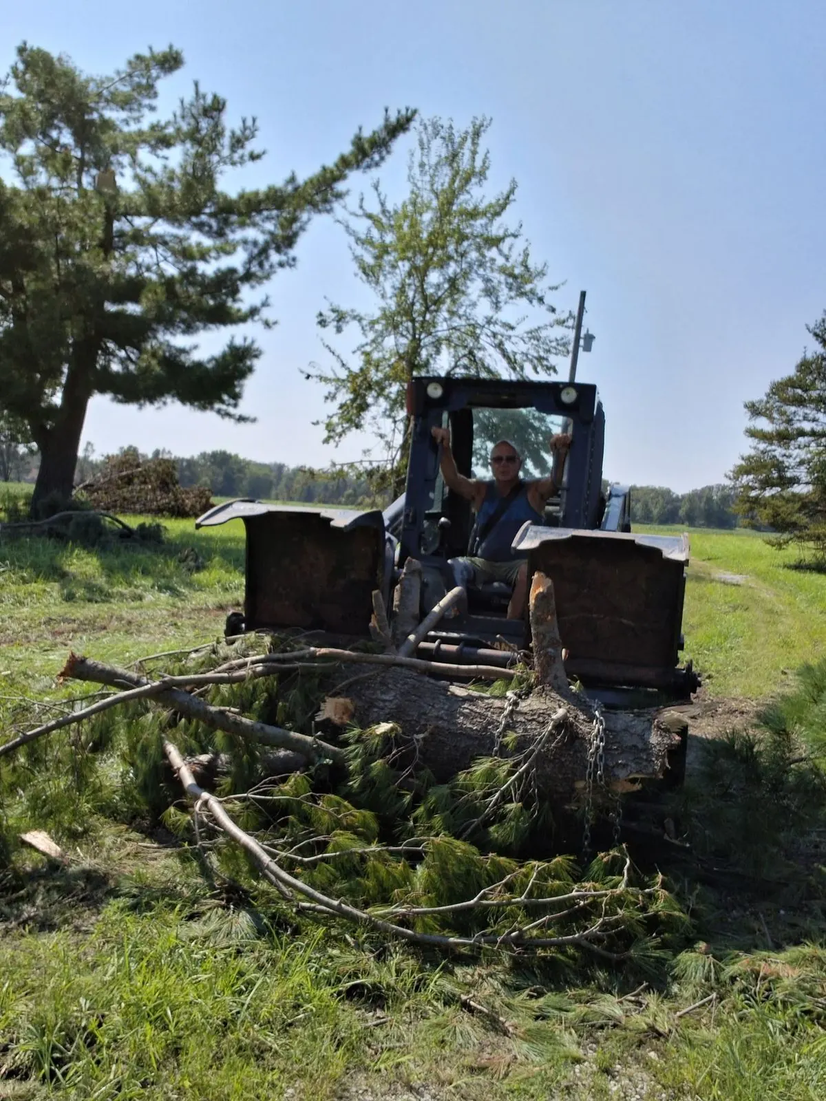 Mark in the cab of his skid steer, a pine trunk chained to the grapple and cut branches in front