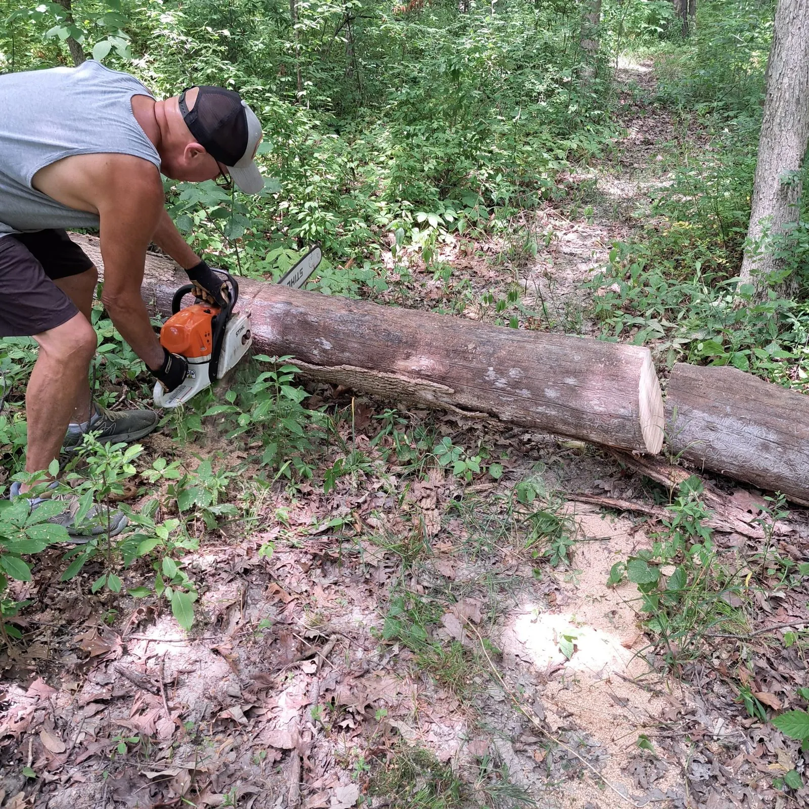 Mark, the owner, cutting a downed log into sections with a chainsaw