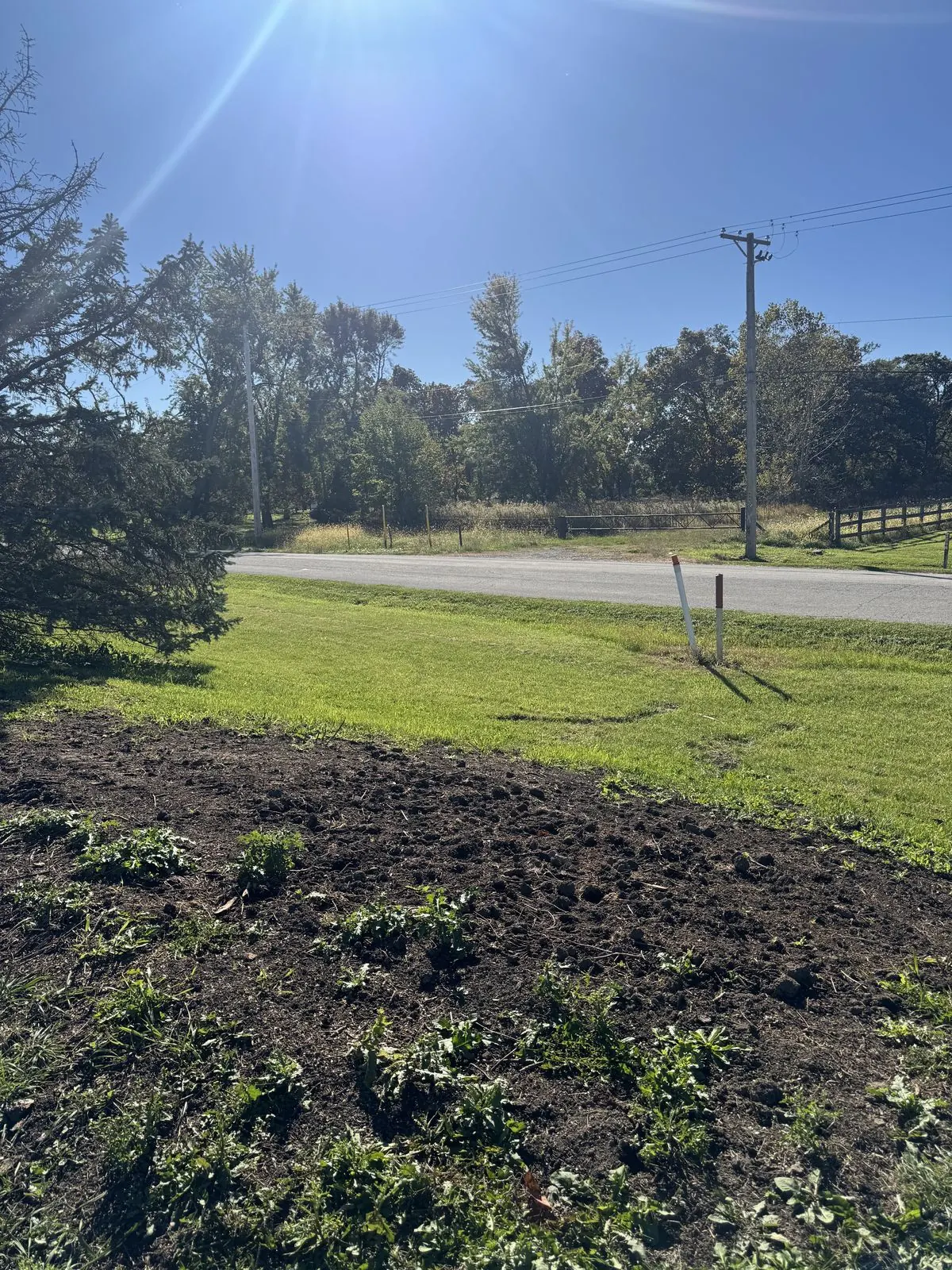 The same spot by the road after the job, the trees and roots gone and the ground filled with fresh dirt