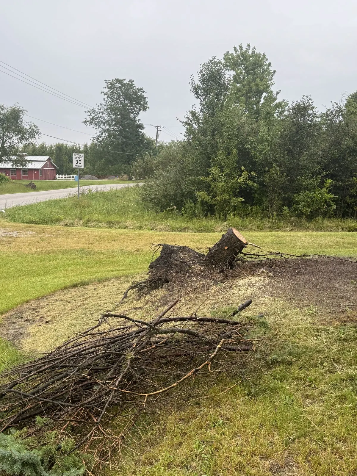 A stump pulled up with its root ball and a pile of cut brush beside a country road, a red barn behind